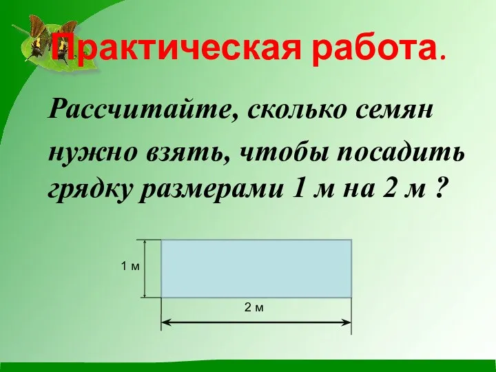 Практическая работа. Рассчитайте, сколько семян нужно взять, чтобы посадить грядку