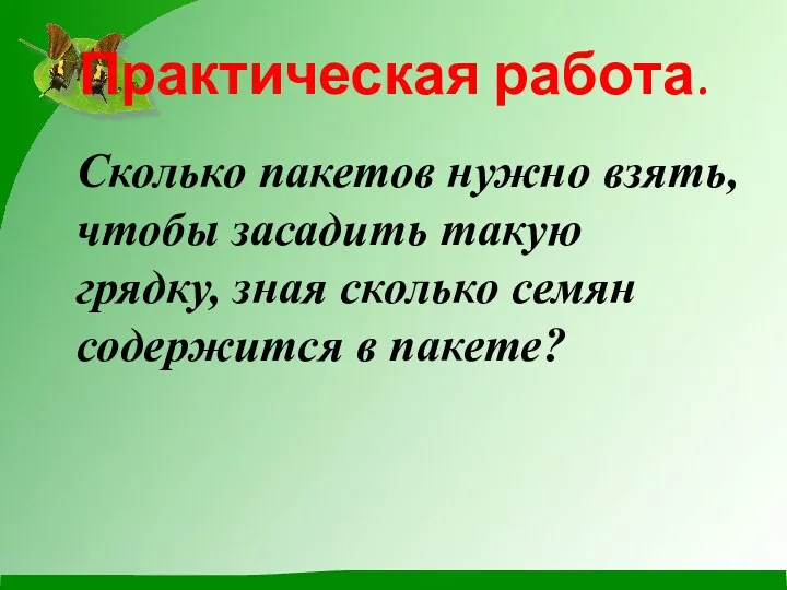 Практическая работа. Сколько пакетов нужно взять, чтобы засадить такую грядку, зная сколько семян содержится в пакете?