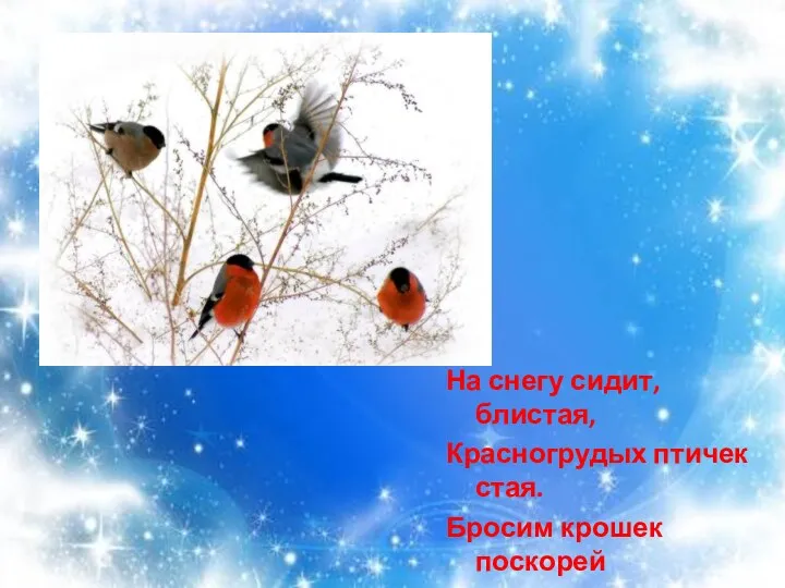 На снегу сидит, блистая, Красногрудых птичек стая. Бросим крошек поскорей Для красавцев-снегирей Е. Кохан