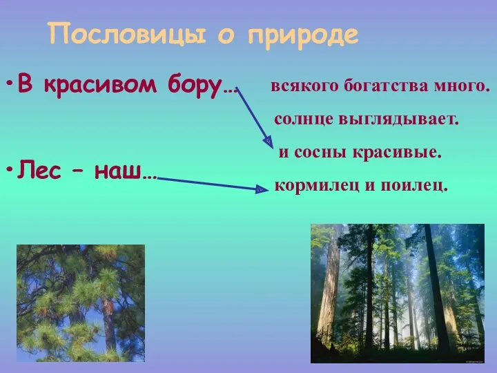 Пословицы о природе В красивом бору… Лес – наш… солнце выглядывает. всякого богатства