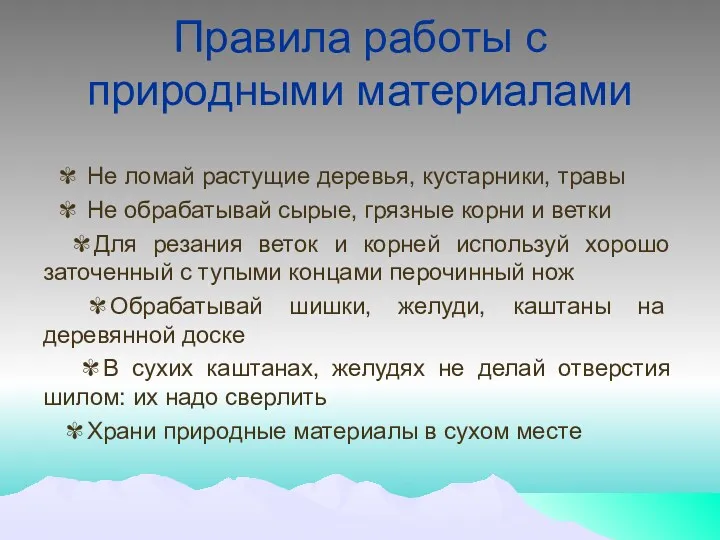 Правила работы с природными материалами ✾ Не ломай растущие деревья, кустарники, травы ✾