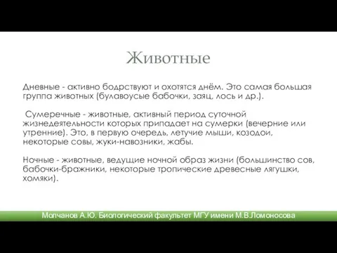 Дневные - активно бодрствуют и охотятся днём. Это самая большая группа животных (булавоуcые