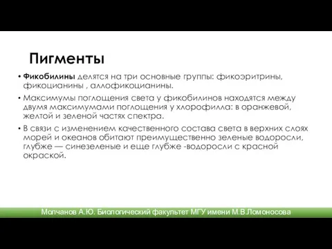 Пигменты Фикобилины делятся на три основные группы: фикоэритрины, фикоцианины ,