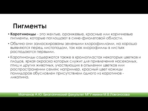 Пигменты Каротиноиды - это желтые, оранжевые, красные или коричневые пигменты, которые поглощают в