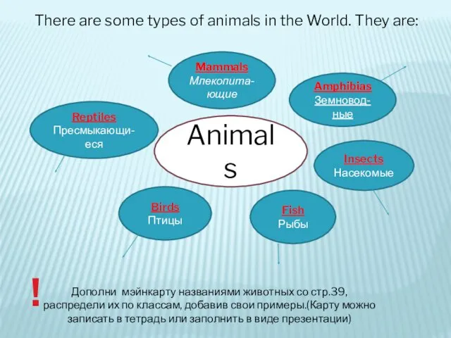 There are some types of animals in the World. They