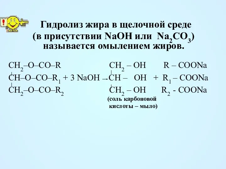 Гидролиз жира в щелочной среде (в присутствии NaOH или Na2CO3) называется омылением жиров.