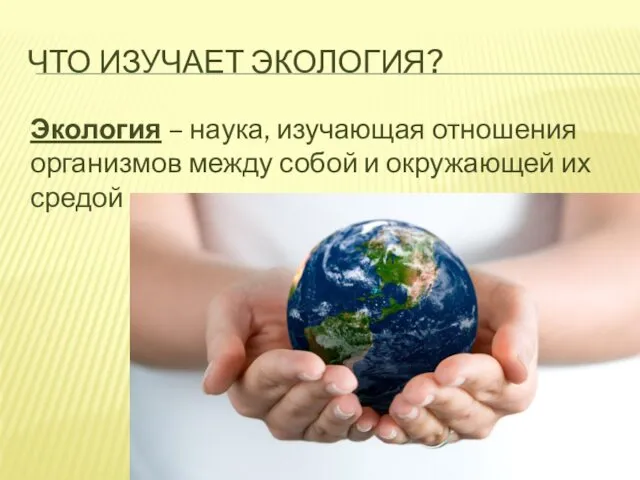 ЧТО ИЗУЧАЕТ ЭКОЛОГИЯ? Экология – наука, изучающая отношения организмов между собой и окружающей их средой