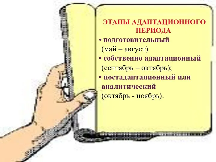 ЭТАПЫ АДАПТАЦИОННОГО ПЕРИОДА подготовительный (май – август) собственно адаптационный (сентябрь – октябрь); постадаптационный