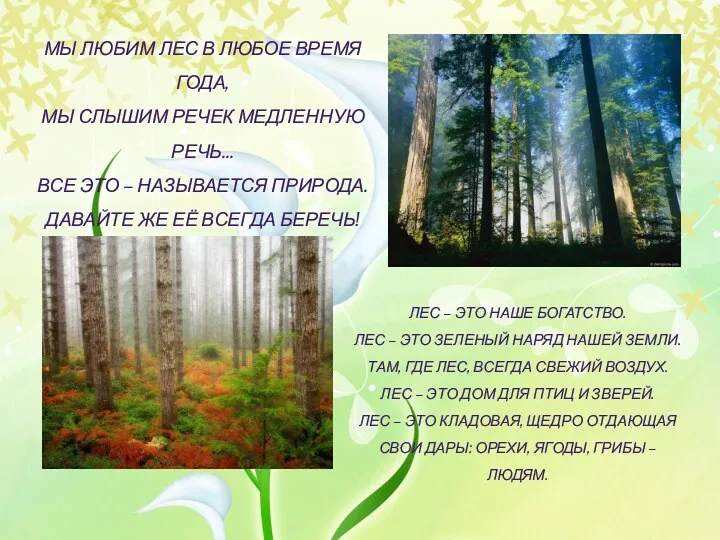Лес – это наше богатство. Лес – это зеленый наряд нашей земли. Там,