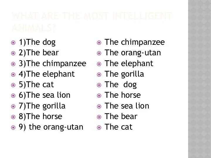 What are the most intelligent animals? 1)The dog 2)The bear 3)The chimpanzee 4)The