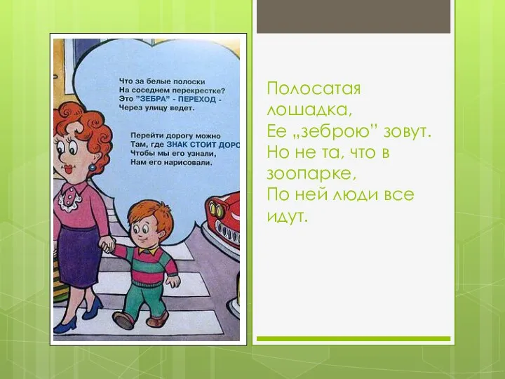 Полосатая лошадка, Ее „зеброю” зовут. Но не та, что в зоопарке, По ней люди все идут.