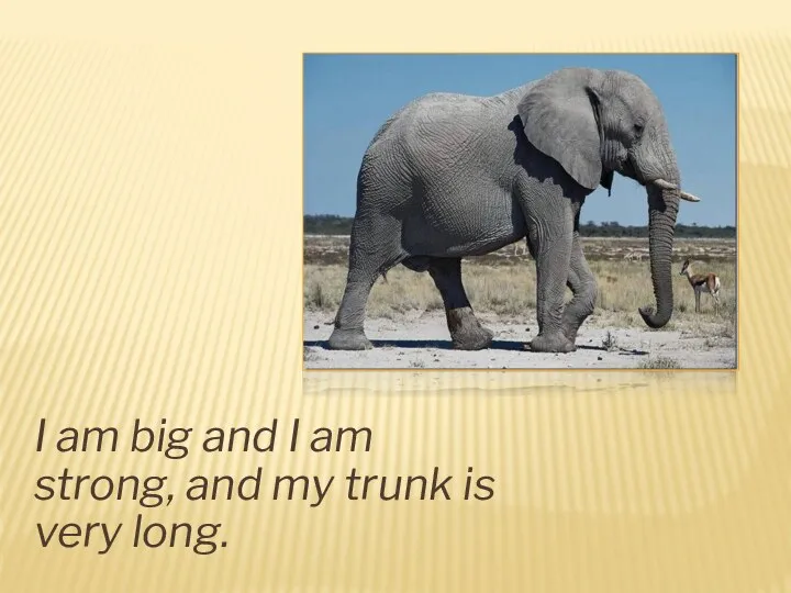 I am big and I am strong, and my trunk is very long.