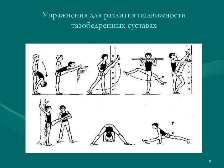 Упражнения для развития подвижности тазобедренных суставах