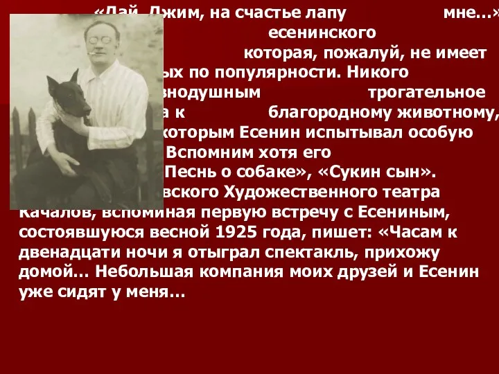 «Дай, Джим, на счастье лапу мне…» - первая строка есенинского