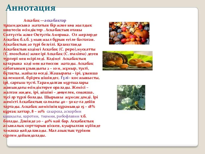 Аннотация Асқабақ —асқабақтар тұқымдасына жататын бір және көп жылдық шөптесін өсімдіктер . Асқабақтың