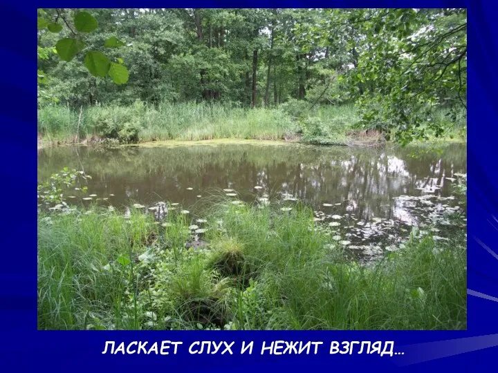 ЛАСКАЕТ СЛУХ И НЕЖИТ ВЗГЛЯД…