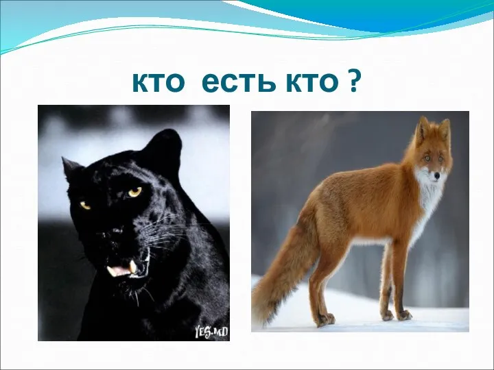 кто есть кто ?