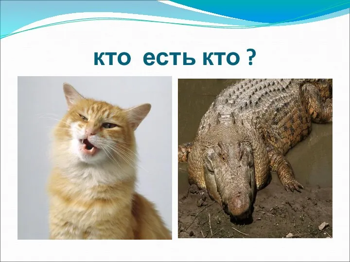 кто есть кто ?