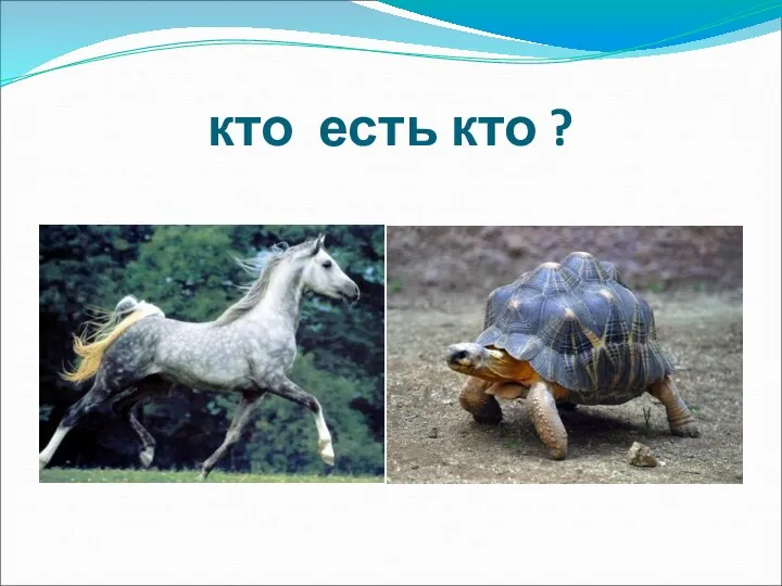 кто есть кто ?