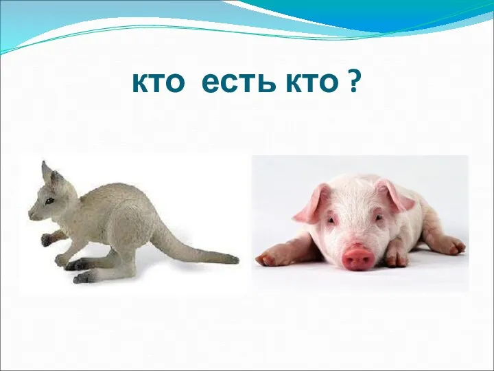 кто есть кто ?