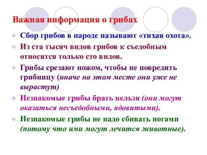 Важная информация о грибах Сбор грибов в народе называют «тихая