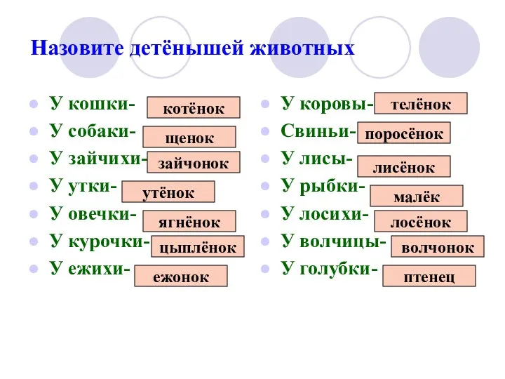 Назовите детёнышей животных У кошки- У собаки- У зайчихи- У