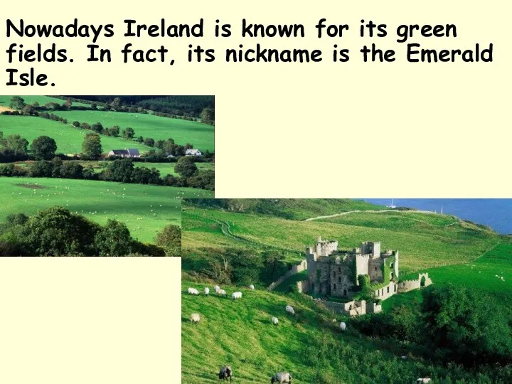 Nowadays Ireland is known for its green fields. In fact, its nickname is the Emerald Isle.