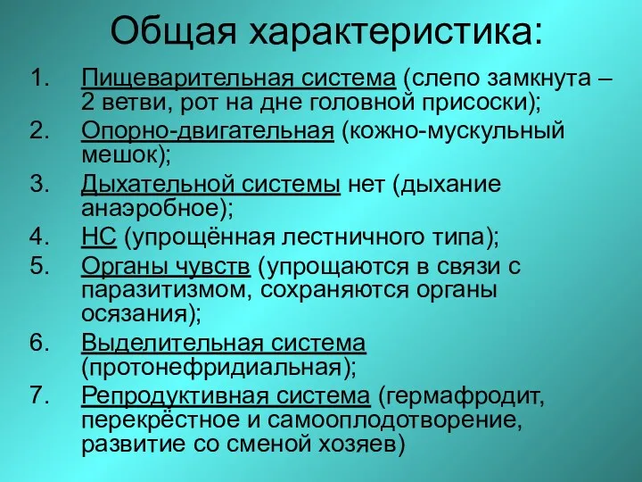 Общая характеристика: Пищеварительная система (слепо замкнута – 2 ветви, рот