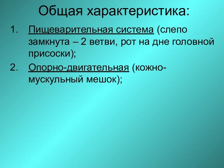 Общая характеристика: Пищеварительная система (слепо замкнута – 2 ветви, рот