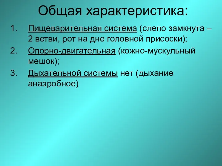 Общая характеристика: Пищеварительная система (слепо замкнута – 2 ветви, рот