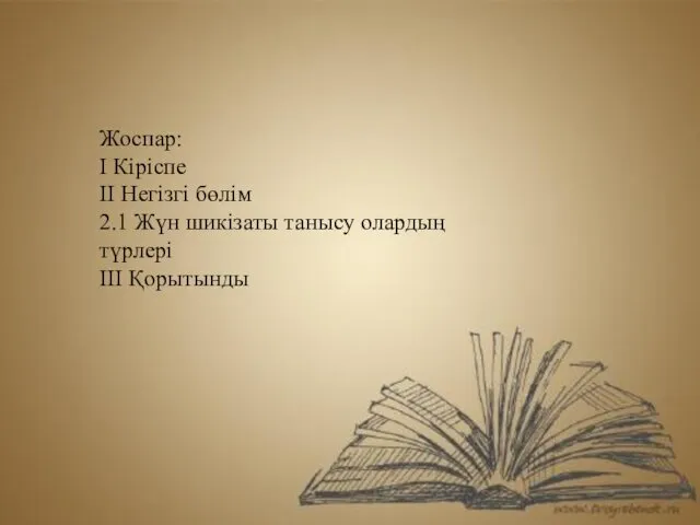 Жоспар: І Кіріспе ІІ Негізгі бөлім 2.1 Жүн шикізаты танысу олардың түрлері ІІІ Қорытынды