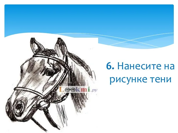 6. Нанесите на рисунке тени