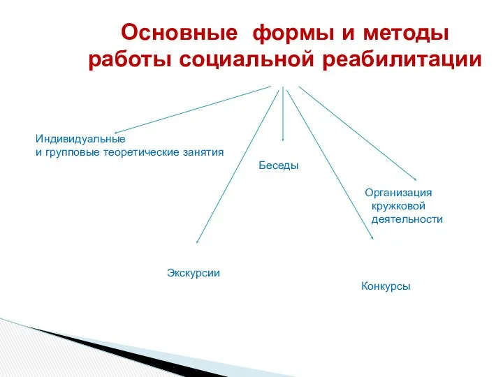 Индивидуальные и групповые теоретические занятия Беседы Организация кружковой деятельности Экскурсии