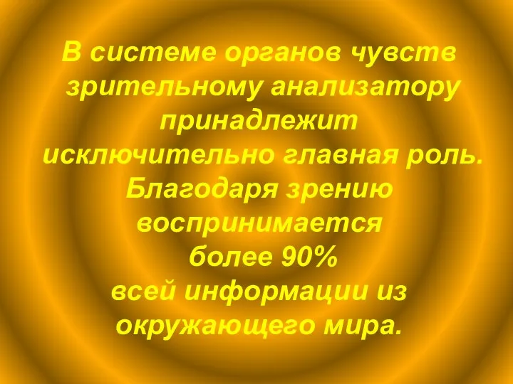 В системе органов чувств зрительному анализатору принадлежит исключительно главная роль.