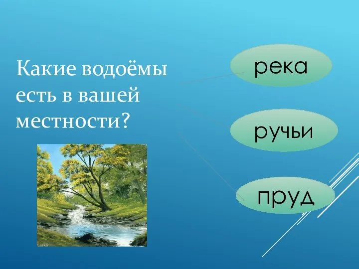 Какие водоёмы есть в вашей местности? река ручьи пруд