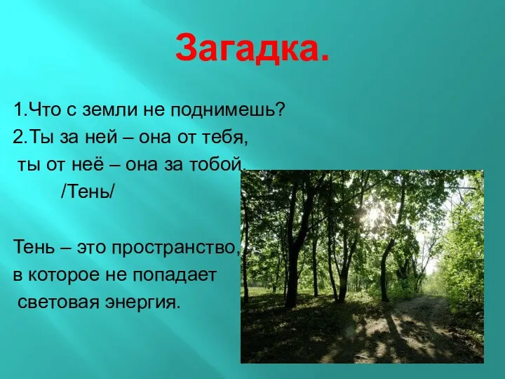 Загадка. 1.Что с земли не поднимешь? 2.Ты за ней –