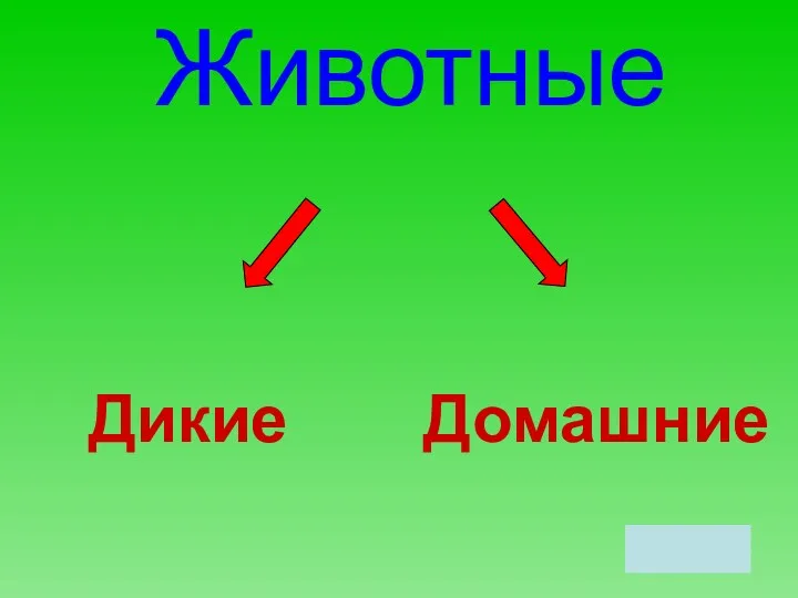 Животные Дикие Домашние