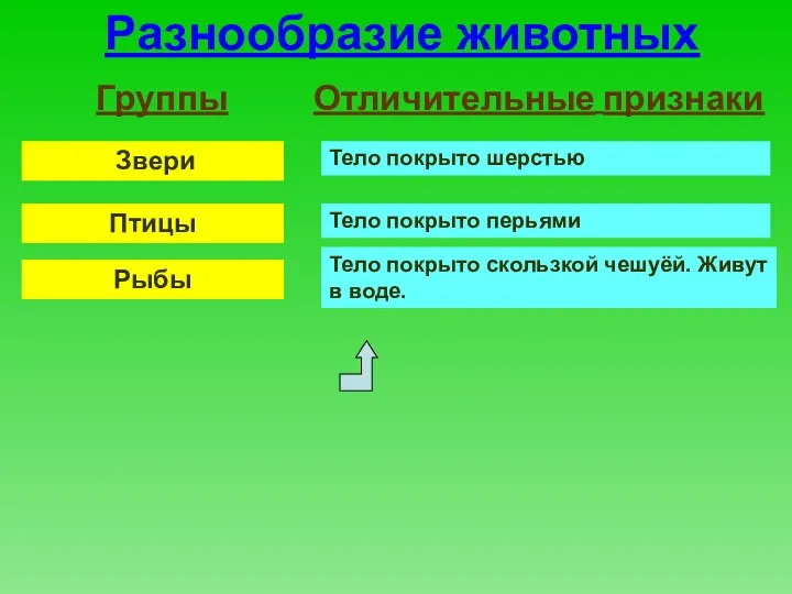 Разнообразие животных Группы Отличительные признаки Звери Птицы Рыбы Тело покрыто