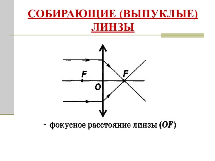 СОБИРАЮЩИЕ (ВЫПУКЛЫЕ) ЛИНЗЫ