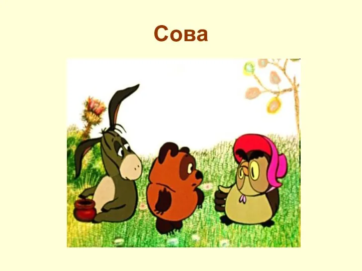 Сова