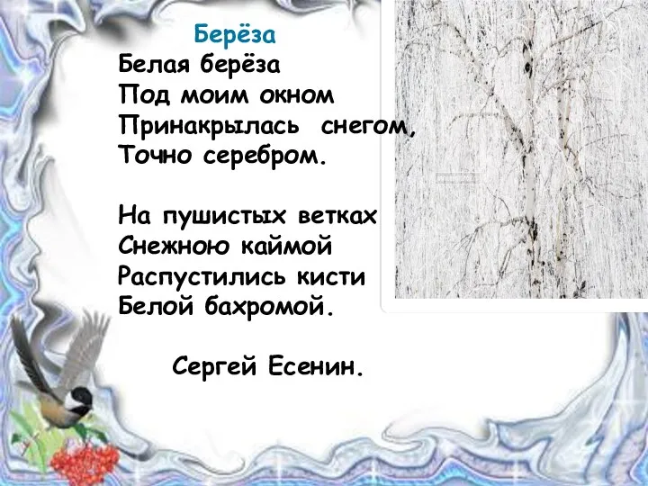 Берёза Белая берёза Под моим окном Принакрылась снегом, Точно серебром. На пушистых ветках