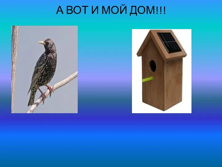 А ВОТ И МОЙ ДОМ!!!