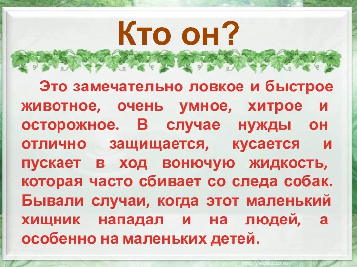 Кто он? Это замечательно ловкое и быстрое животное, очень умное,