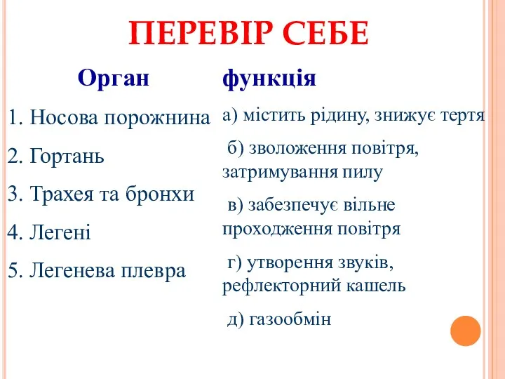 Орган 1. Носова порожнина 2. Гортань 3. Трахея та бронхи 4. Легені 5.