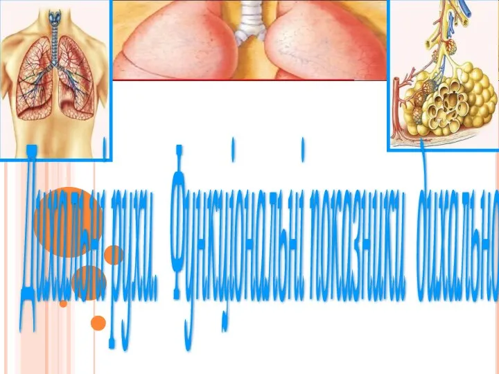 Дихальні рухи. Функціональні показники дихальної системи