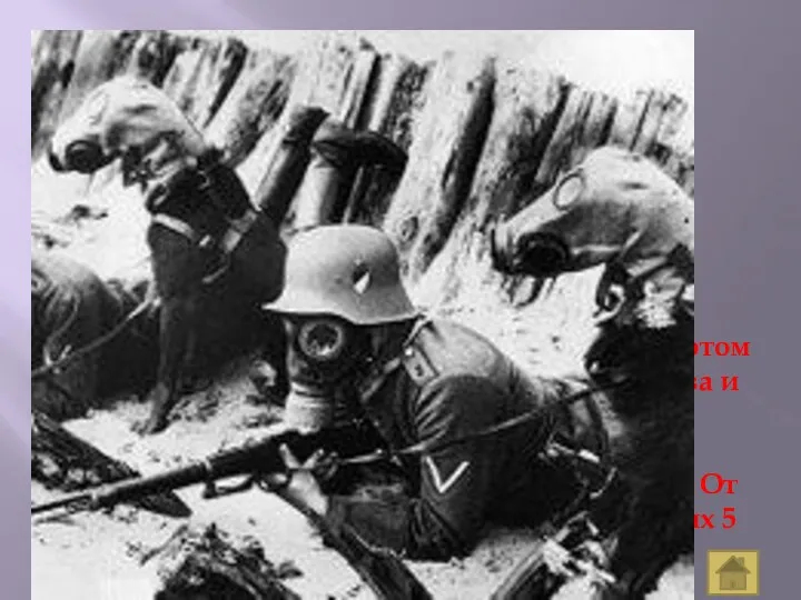 Сражения Где впервые было применено химическое оружие? Немцы предприняли контрудар