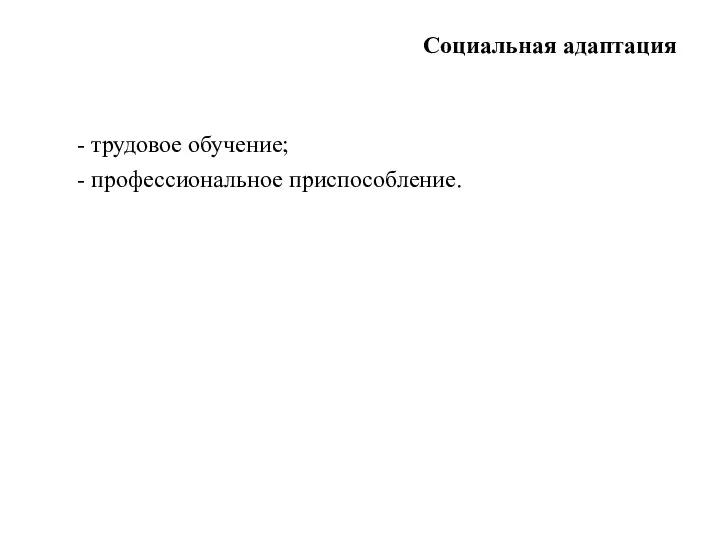 Социальная адаптация - трудовое обучение; - профессиональное приспособление.