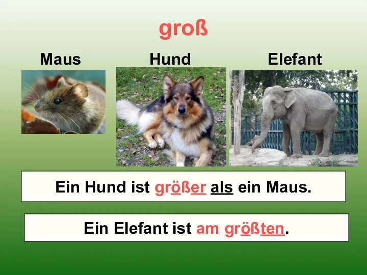 groß Maus Hund Elefant Wer ist größer – ein Maus