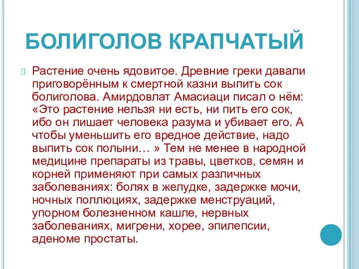 БОЛИГОЛОВ КРАПЧАТЫЙ Растение очень ядовитое. Древние греки давали приговорённым к