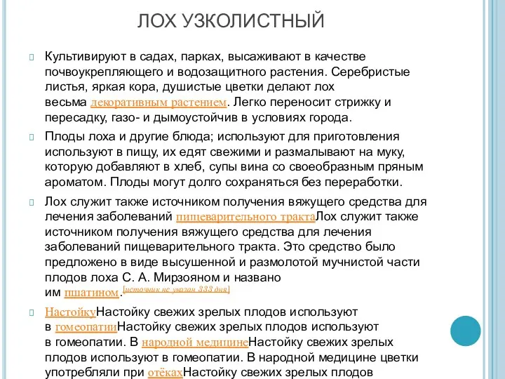 ЛОХ УЗКОЛИСТНЫЙ Культивируют в садах, парках, высаживают в качестве почвоукрепляющего